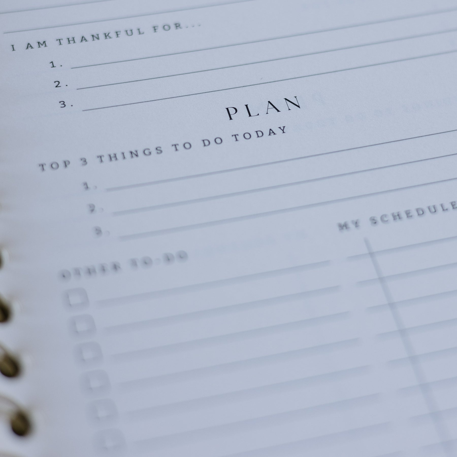 Beautiful daily planner for prayer, planning, and reflection