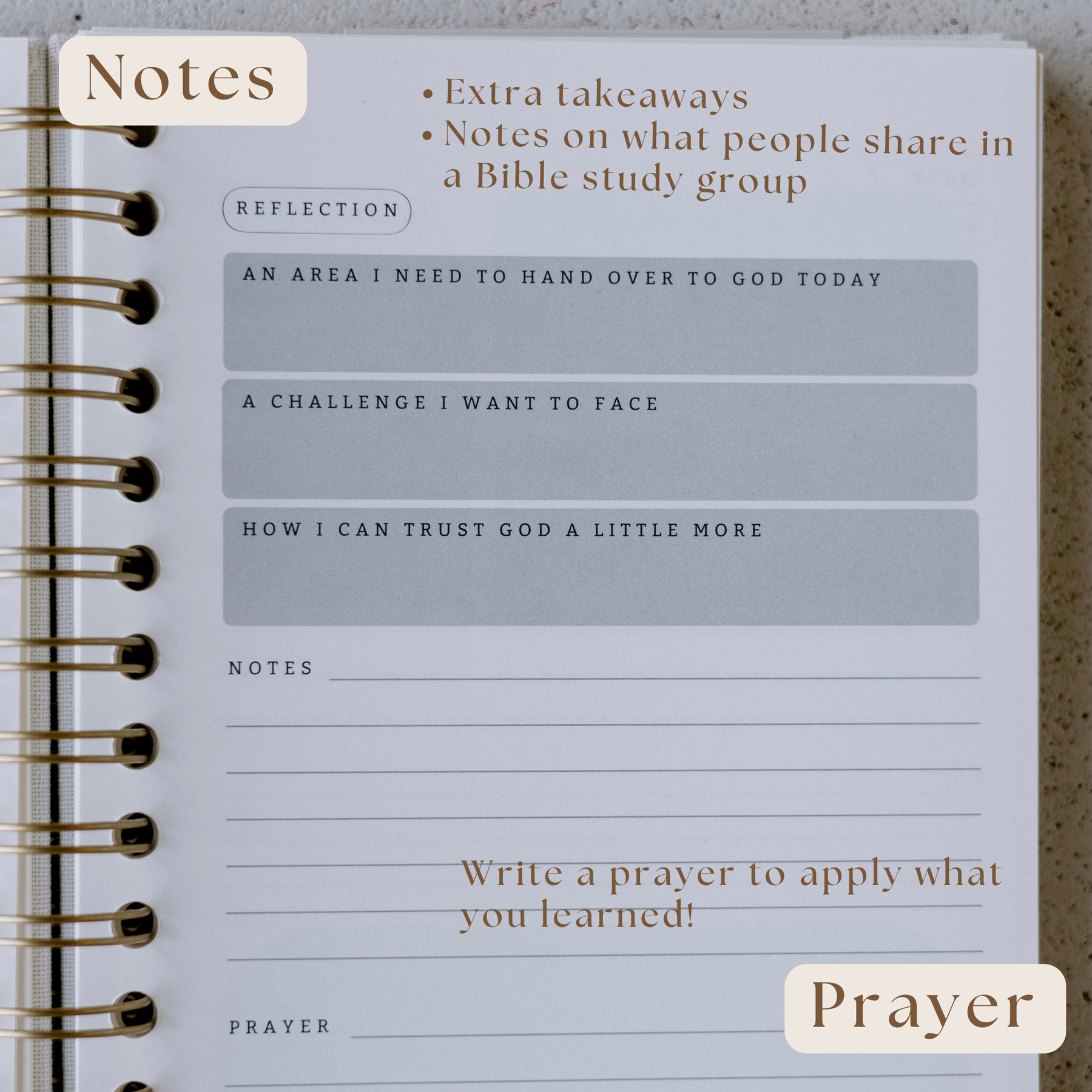 Bible Notes Journal for intentional, consistent time in the Word