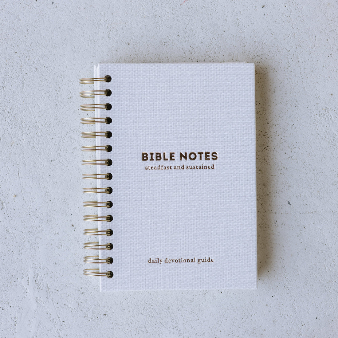 Steadfast & Sustained Bible Notes Journal, a guided Scripture study journal