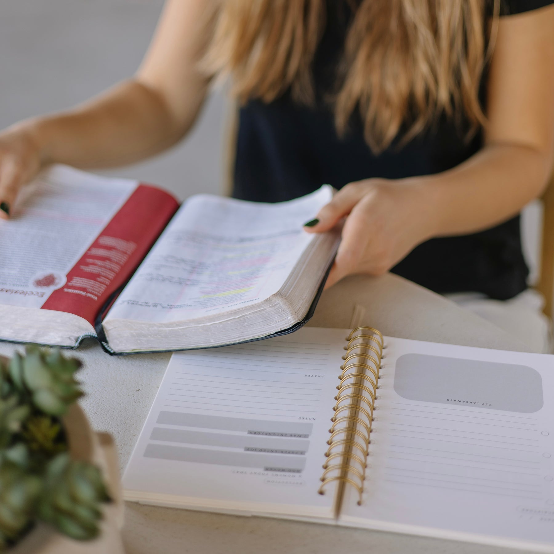 Steadfast & Sustained faith journals and planners to start your most intentional season of studying God's Word