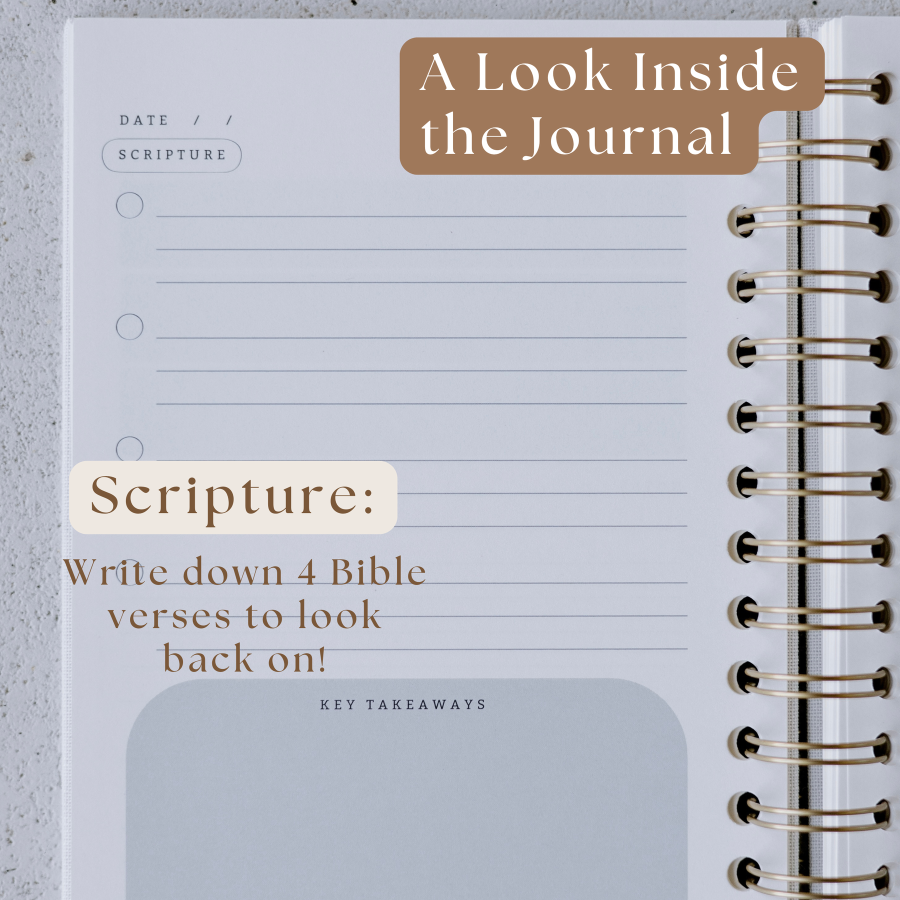 Bible Notes Journal guided study pages for note-taking and prayer