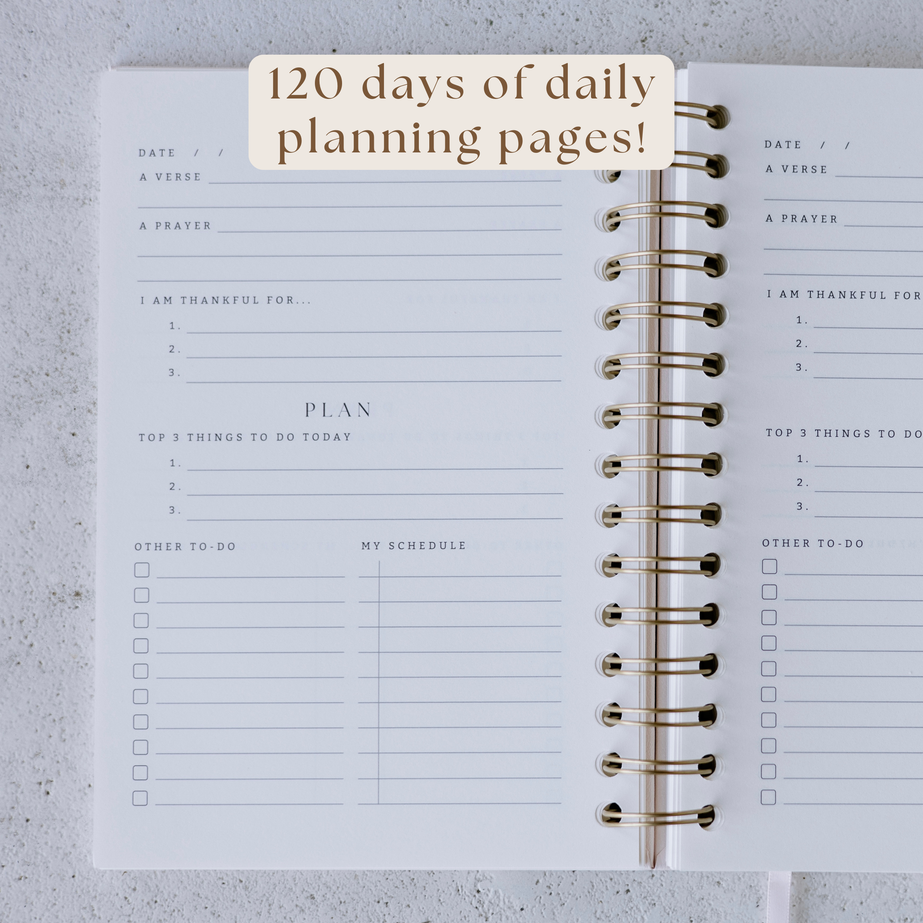 Daily Faith-Based Planner - Devotional Journaling Prompts, Calendar Planning, and Daily Planning