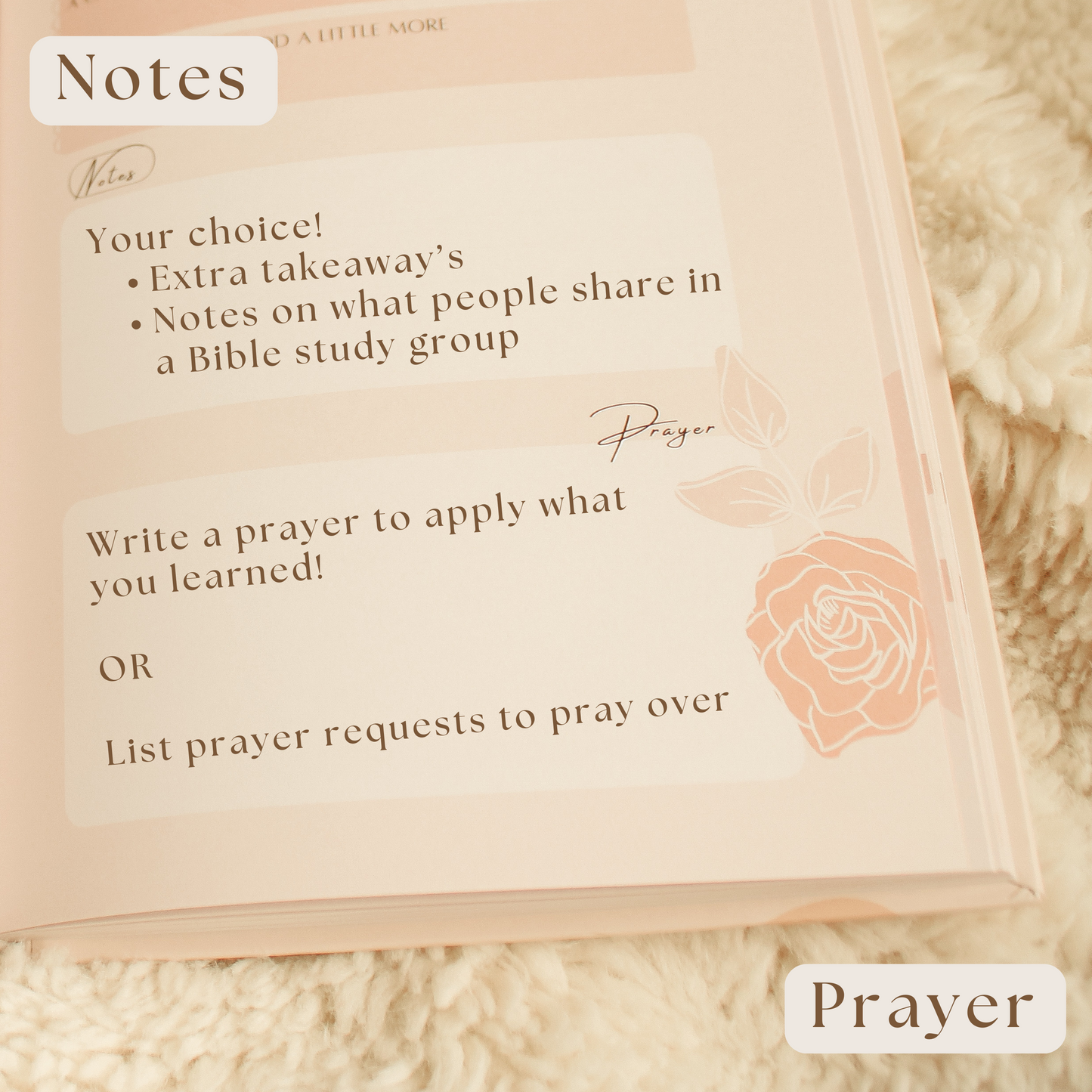 Bible Notes & Reflection Journal