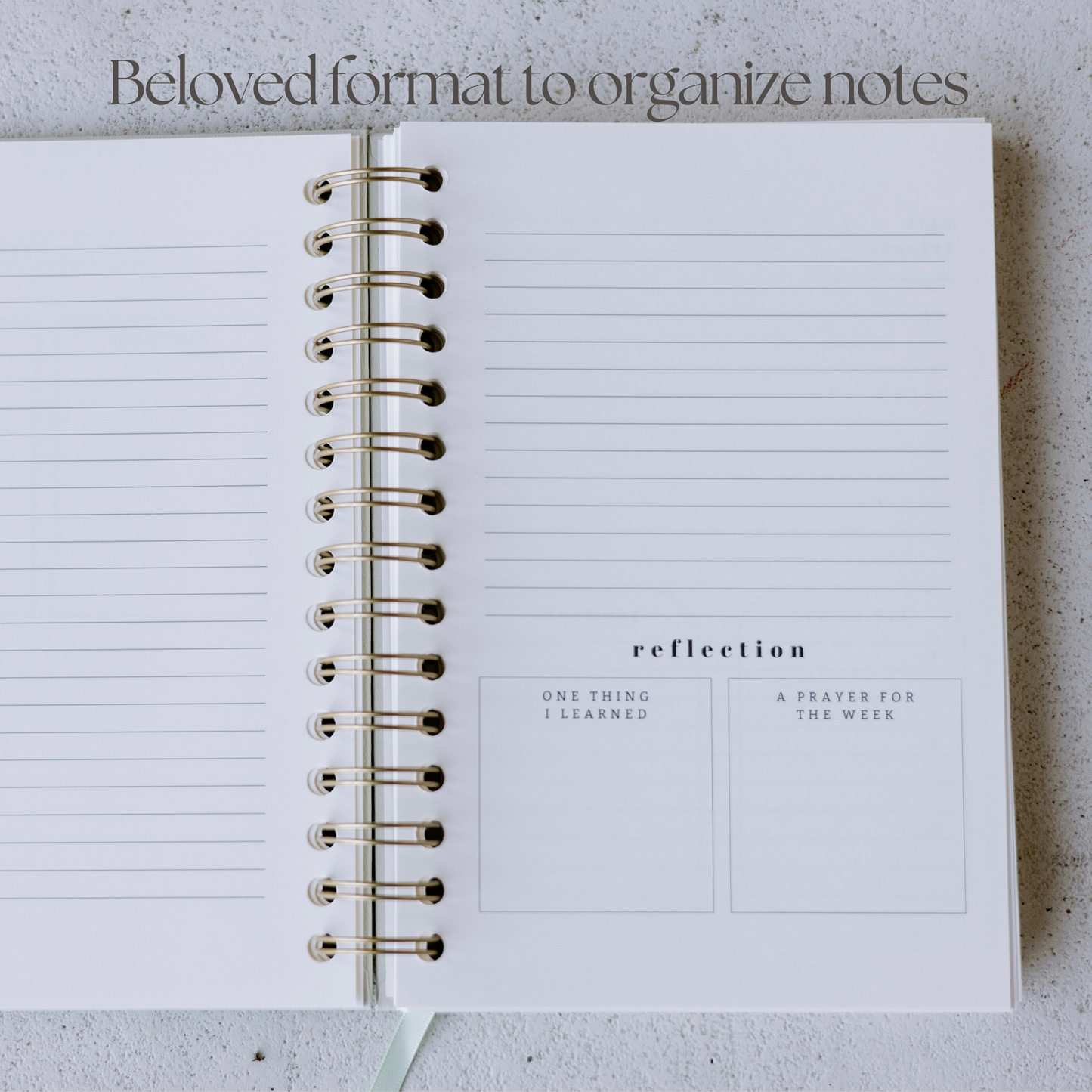 Church Notes Journal Extended Edition infographic 4